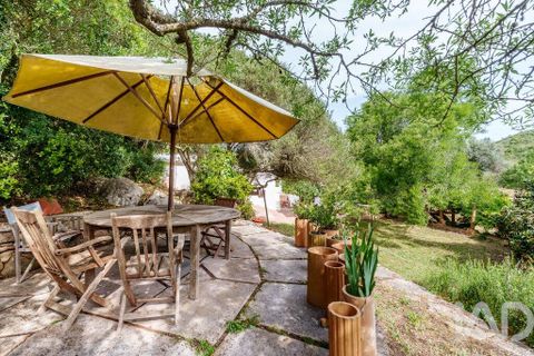 Farm i Sagres, Faro, Sagres - € 1.250.000 | Ref: 927952 - foto 5