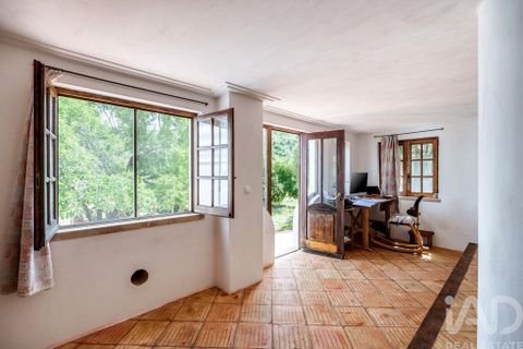 Farm i Sagres, Faro, Sagres - € 1.250.000 | Ref: 927952 - foto 19