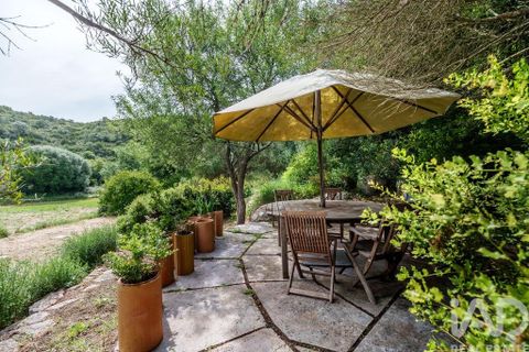 Farm i Sagres, Faro, Sagres - € 1.250.000 | Ref: 927952 - foto 27