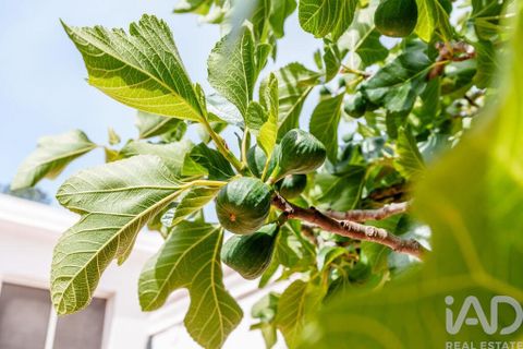 Farm i Sagres, Faro, Sagres - € 1.250.000 | Ref: 927952 - foto 29