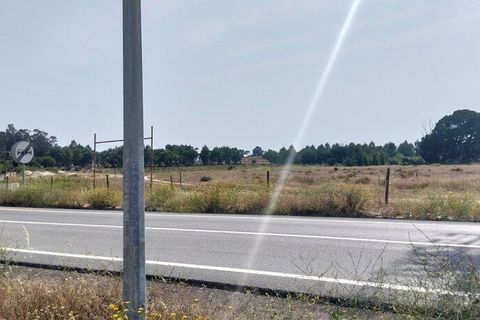 Terra a Almeirim, Santarem, Almeirim - € 1.715.000 | Ref: 927977 - foto 2