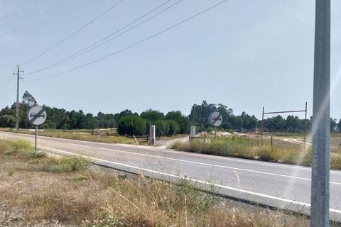 Terra a Almeirim, Santarem, Almeirim - € 1.715.000 | Ref: 927977 - foto 3