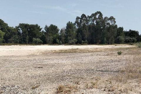 Terra a Almeirim, Santarem, Almeirim - € 1.715.000 | Ref: 927977 - foto 4