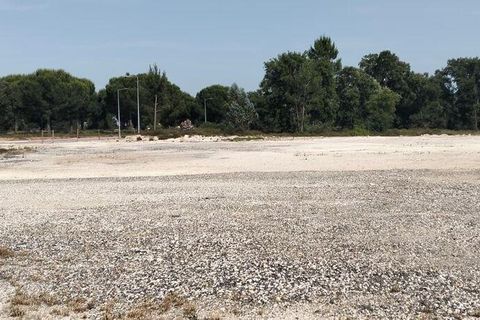 Terra a Almeirim, Santarem, Almeirim - € 1.715.000 | Ref: 927977 - foto 5