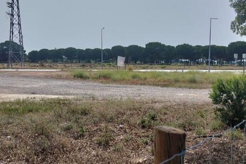 Terra a Almeirim, Santarem, Almeirim - € 1.715.000 | Ref: 927977 - foto 7