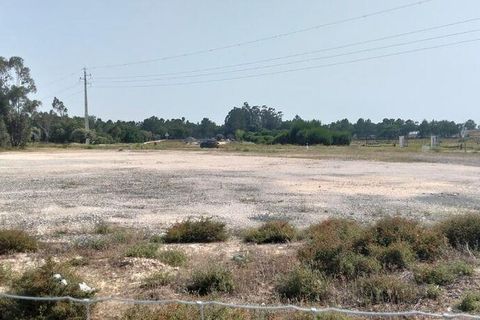 Terra a Almeirim, Santarem, Almeirim - € 1.715.000 | Ref: 927977 - foto 9