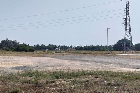 Terra a Almeirim, Santarem, Almeirim - € 1.715.000 | Ref: 927977 - foto 10