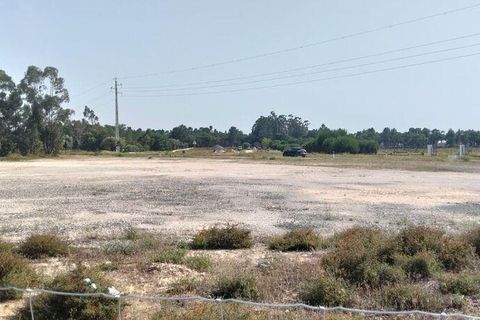 Terra a Almeirim, Santarem, Almeirim - € 1.715.000 | Ref: 927977 - foto 11