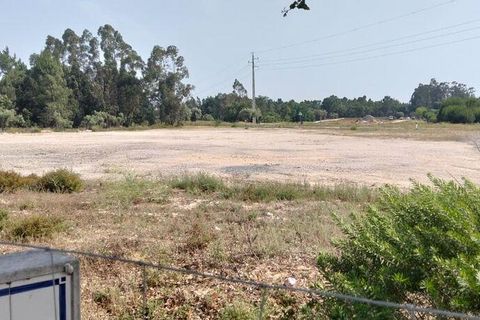 Terra a Almeirim, Santarem, Almeirim - € 1.715.000 | Ref: 927977 - foto 12