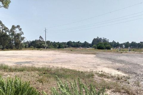Terra a Almeirim, Santarem, Almeirim - € 1.715.000 | Ref: 927977 - foto 13