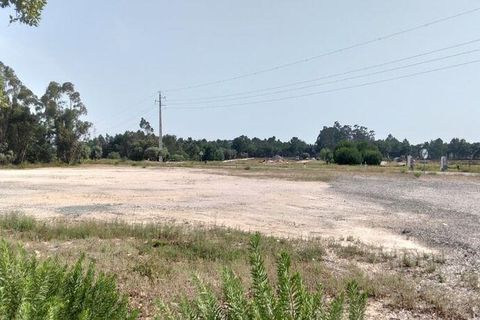 Terra a Almeirim, Santarem, Almeirim - € 1.715.000 | Ref: 927977 - foto 14