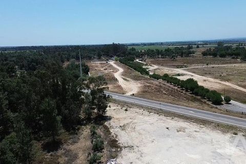 Terra a Almeirim, Santarem, Almeirim - € 1.715.000 | Ref: 927977 - foto 16