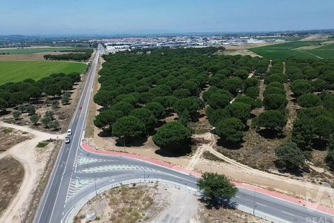 Terra a Almeirim, Santarem, Almeirim - € 1.715.000 | Ref: 927977 - foto 20