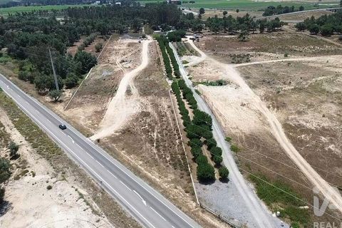 Terra a Almeirim, Santarem, Almeirim - € 1.715.000 | Ref: 927977 - foto 24