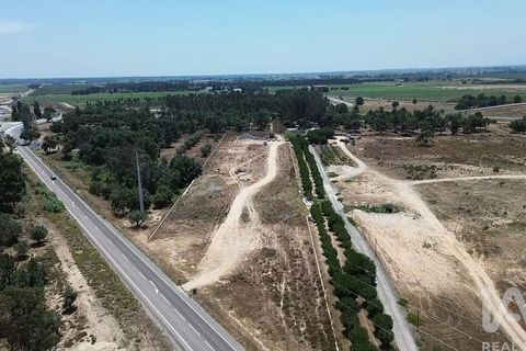 Terra a Almeirim, Santarem, Almeirim - € 1.715.000 | Ref: 927977 - foto 25