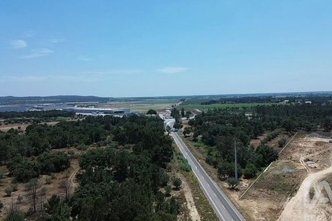 Terra a Almeirim, Santarem, Almeirim - € 1.715.000 | Ref: 927977 - foto 26