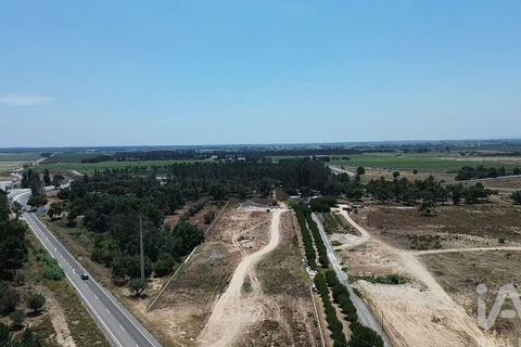Terra a Almeirim, Santarem, Almeirim - € 1.715.000 | Ref: 927977 - foto 27