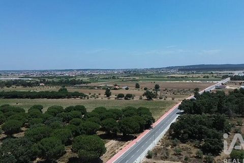 Terra a Almeirim, Santarem, Almeirim - € 1.715.000 | Ref: 927977 - foto 29
