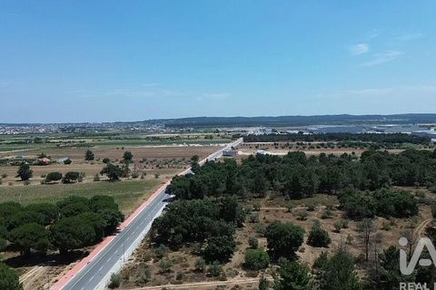 Terra a Almeirim, Santarem, Almeirim - € 1.715.000 | Ref: 927977 - foto 30