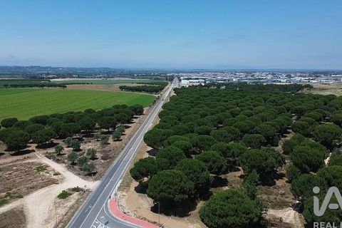 Terra a Almeirim, Santarem, Almeirim - € 1.715.000 | Ref: 927977 - foto 32