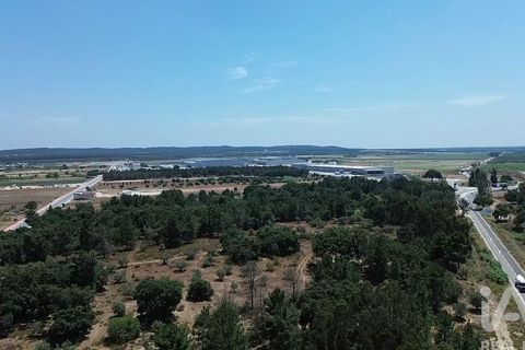 Terra a Almeirim, Santarem, Almeirim - € 1.715.000 | Ref: 927977 - foto 33