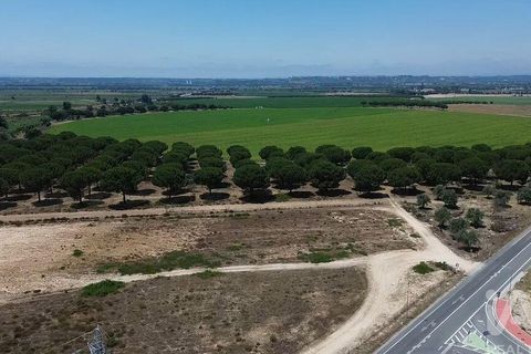 Terra a Almeirim, Santarem, Almeirim - € 1.715.000 | Ref: 927977 - foto 35