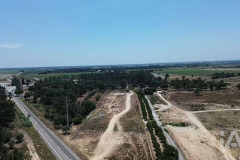 Terra a Almeirim, Santarem, Almeirim - € 1.715.000 | Ref: 927977 - foto 36