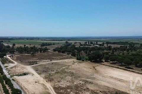 Terra a Almeirim, Santarem, Almeirim - € 1.715.000 | Ref: 927977 - foto 37