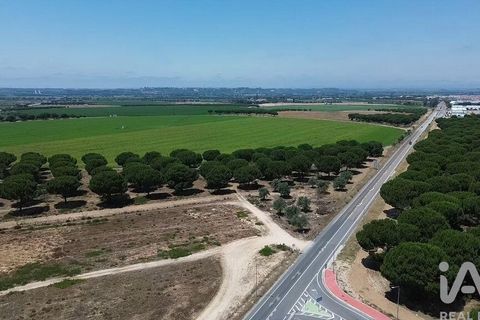Terra a Almeirim, Santarem, Almeirim - € 1.715.000 | Ref: 927977 - foto 38
