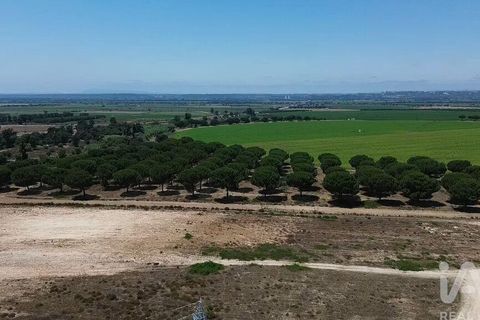Terra a Almeirim, Santarem, Almeirim - € 1.715.000 | Ref: 927977 - foto 39