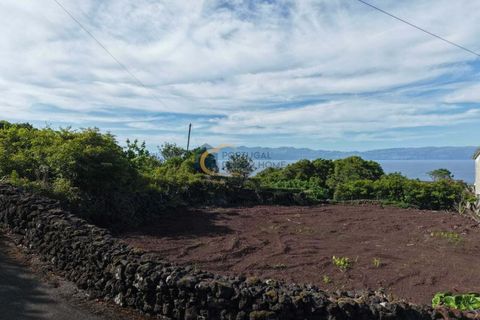 Helårsgrund i Lajes do Pico, Pico, Lajes do Pico - € 49.000 | Ref: HC112 - foto 4