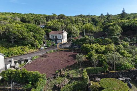 Helårsgrund i Lajes do Pico, Pico, Lajes do Pico - € 49.000 | Ref: HC112 - foto 6