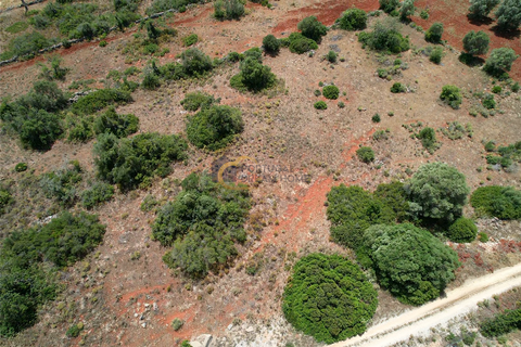 Terra a Paderne, Faro, Paderne - € 33.000 | Ref: AF179 - foto 7