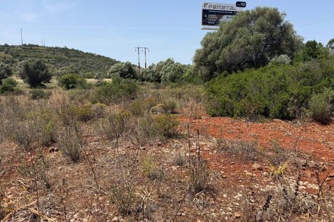 Terra a Paderne, Faro, Paderne - € 33.000 | Ref: AF179 - foto 14