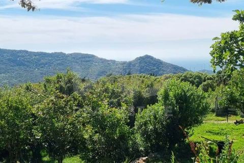 Haus in Cadiz, Cadiz, Cadiz - € 630.000 | Ref: 785902 - Foto 2
