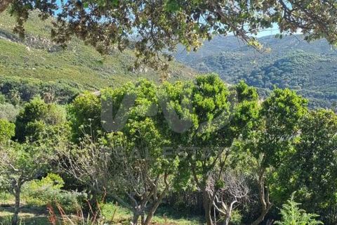 Haus in Cadiz, Cadiz, Cadiz - € 630.000 | Ref: 785902 - Foto 28