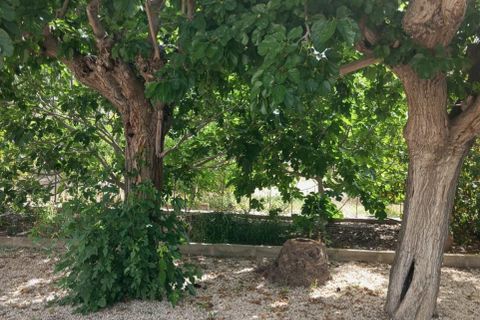 Finca i Redovan, Alicante, Redovan - € 270 000 | Ref: MCO-64400 - foto 8