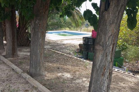 Finca i Redovan, Alicante, Redovan - € 270 000 | Ref: MCO-64400 - foto 13