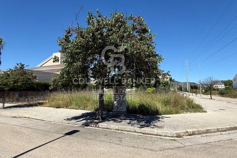 Terra a Valencia, Valencia, Valencia - € 275.000 | Ref: CBEX2647 - foto 6
