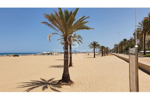 Terra a Valencia, Valencia, Valencia - € 275.000 | Ref: CBEX2647 - foto 20