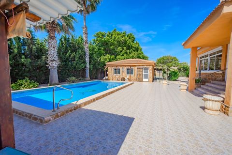 Landejendom i Rojales, Alicante, Rojales - € 650.000 | Ref: DLF137 - foto 3