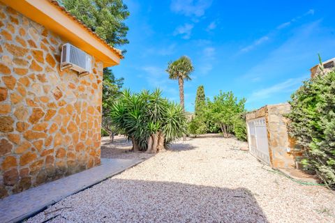 Landejendom i Rojales, Alicante, Rojales - € 650.000 | Ref: DLF137 - foto 13