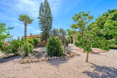 Landejendom i Rojales, Alicante, Rojales - € 650.000 | Ref: DLF137 - foto 15