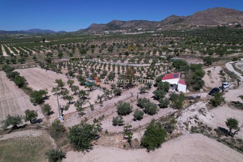 Landejendom i Oria, Almeria, Oria - € 112.000 | Ref: AH-14672 - foto 3