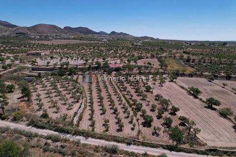Landejendom i Oria, Almeria, Oria - € 112.000 | Ref: AH-14672 - foto 4