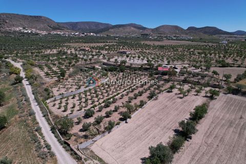Landejendom i Oria, Almeria, Oria - € 112.000 | Ref: AH-14672 - foto 5