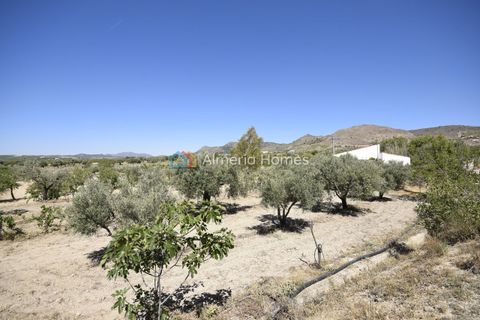 Landejendom i Oria, Almeria, Oria - € 112.000 | Ref: AH-14672 - foto 20