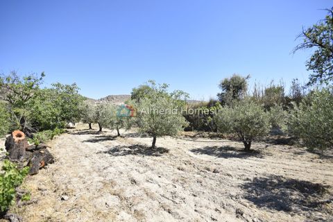 Landejendom i Oria, Almeria, Oria - € 112.000 | Ref: AH-14672 - foto 21