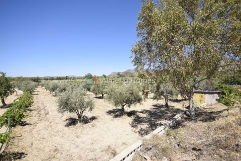 Landejendom i Oria, Almeria, Oria - € 112.000 | Ref: AH-14672 - foto 22