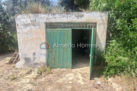 Landejendom i Arboleas, Almeria, Arboleas - € 264.995 | Ref: AH-14671 - foto 24